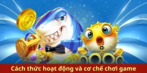 Cách Chơi Bắn Cá Royal Fishing Tại 6623: Bí Kíp Săn Thưởng Đỉnh Cao