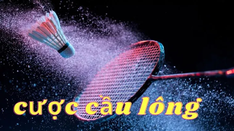 Cách Chơi Cá Cược Cầu Lông Tại 6623 Chuẩn Xác Nhất
