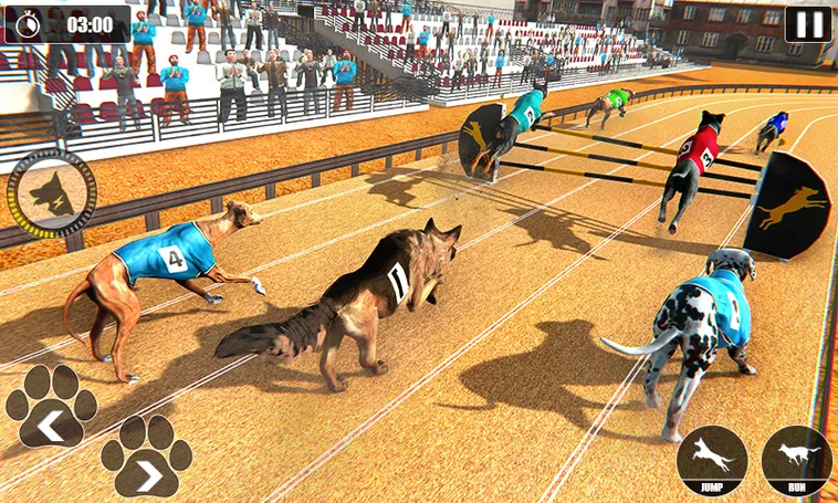 Hướng Dẫn Chơi Game Nhanh Đua Chó Tại 6623 Để Tối Ưu Thắng