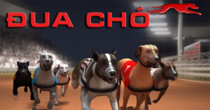 Hướng Dẫn Chơi Game Nhanh Đua Chó Tại 6623 Để Tối Ưu Thắng