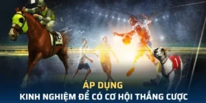 Tìm Hiểu Cá Cược Thể Thao Ảo 6623 Hấp Dẫn Nhất 2025